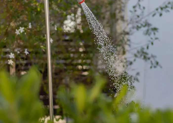 Beachside Apartment-1 Afantou